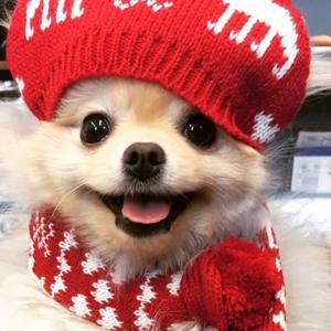 Meet your Posher, Tara